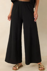 Z Supply Black Scout Textured Slub Pants