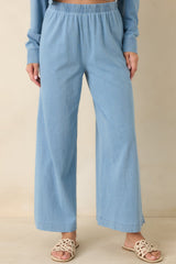 Z Supply Scout Washed Indigo Cotton Knit Jersey Denim Pant
