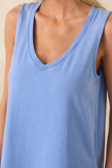 Z Supply Light Blue Cotton Sloane V-Neck Mini Dress