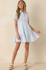Market Days Blue Stripe Floral Embroidered Cotton Mini Dress