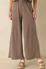 Z Supply Scout Perfectly Taupe Cotton Jersey Pants