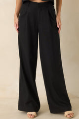 Z Supply Overlook Black Linen Pants