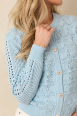 Ever So Classic Light Blue Pointelle Knit Button Front Cardigan