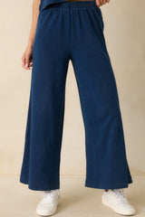 Z Supply Indigo Blue Cotton Scout Jersey Denim Pants