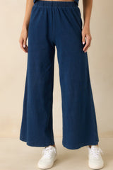 Z Supply Indigo Blue Cotton Scout Jersey Denim Pants