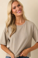 Z Supply Taupe On The Go Cotton Jersey Tee