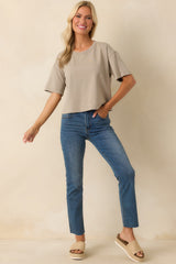 Z Supply Taupe On The Go Cotton Jersey Tee