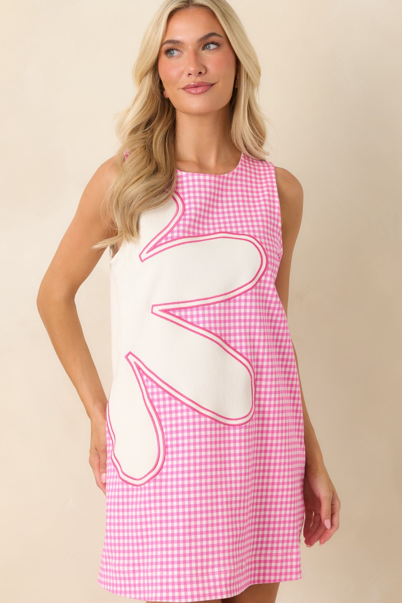 Instant Joy Pink Gingham Cotton Appliqué Mini Shift Dress