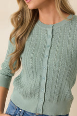 Hello Sunshine Sage Green Pointelle Knit Cardigan