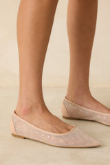 Shining Bright Nude Pointed Toe Mesh Ballet Flats