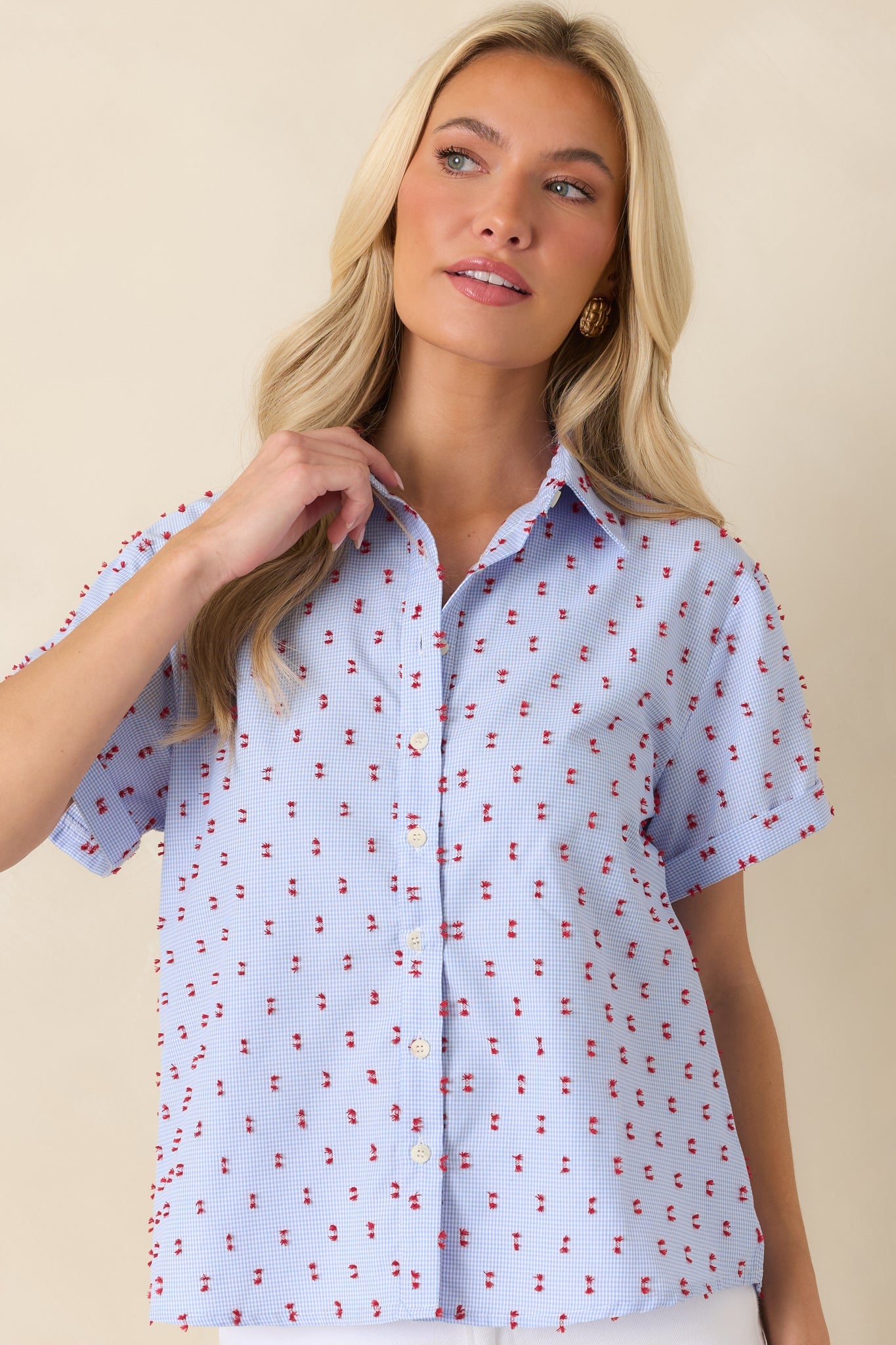 Prosperina Meg Blue Gingham Embroidered Top