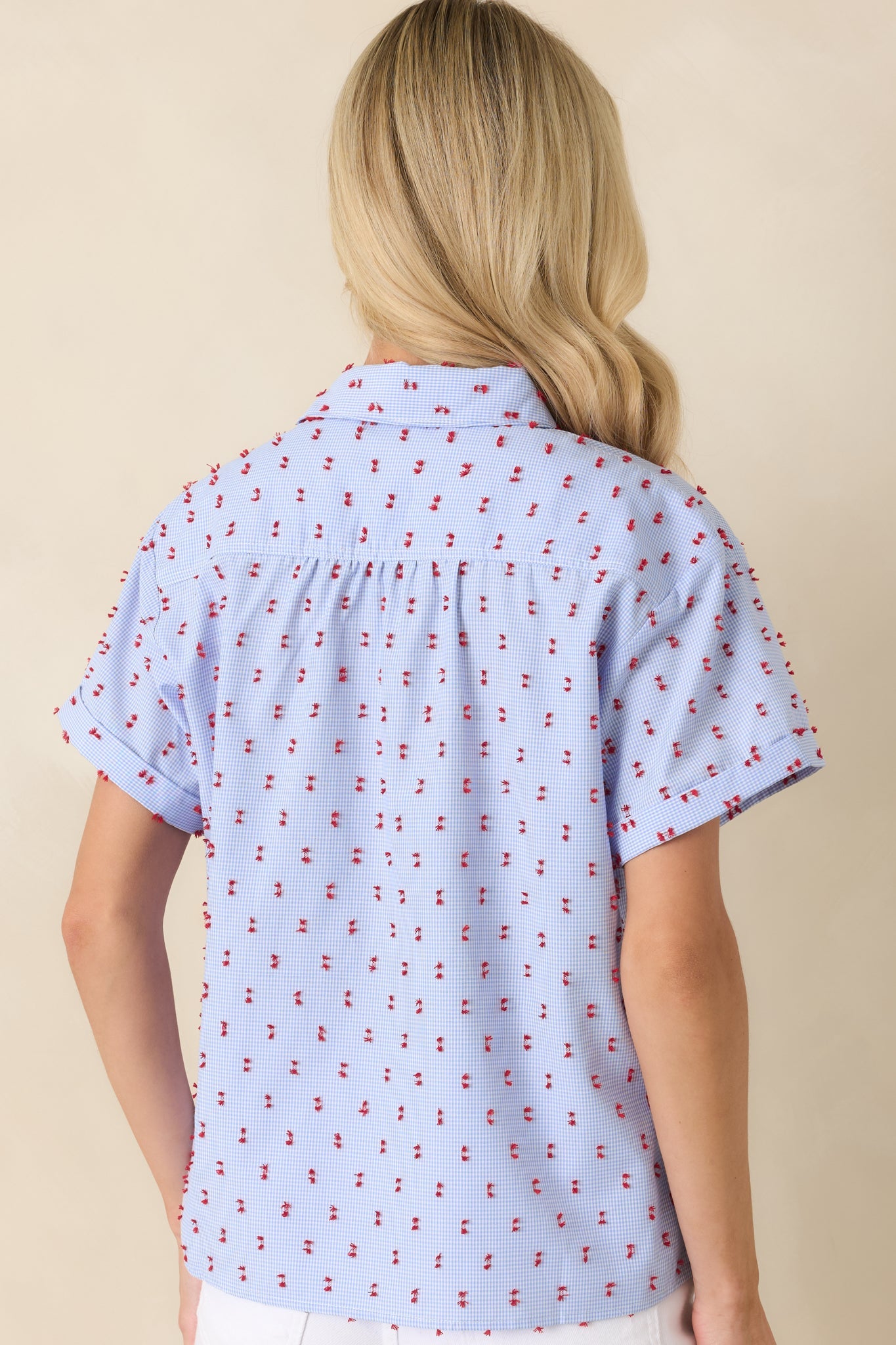 Prosperina Meg Blue Gingham Embroidered Top