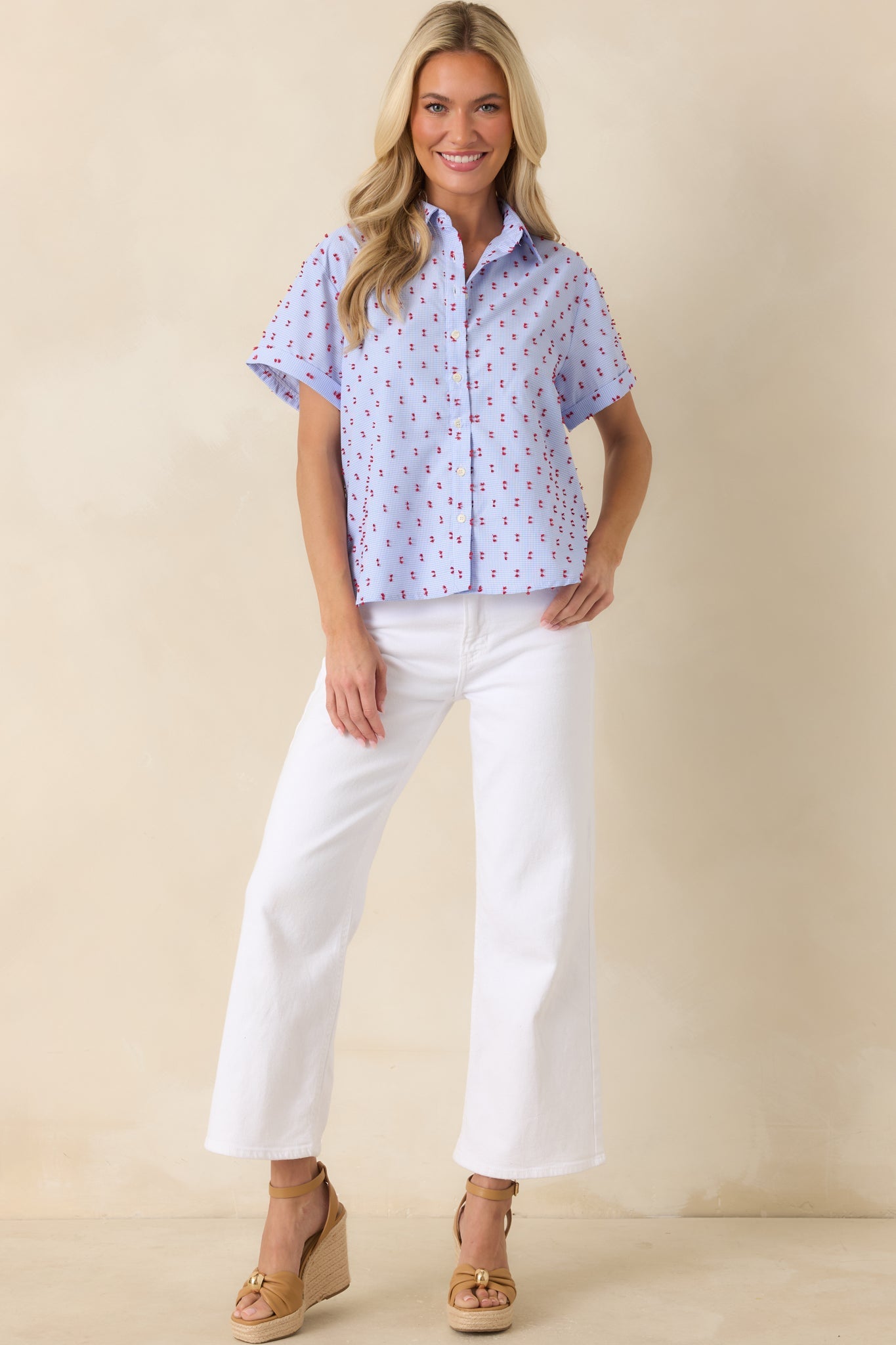 Prosperina Meg Blue Gingham Embroidered Top