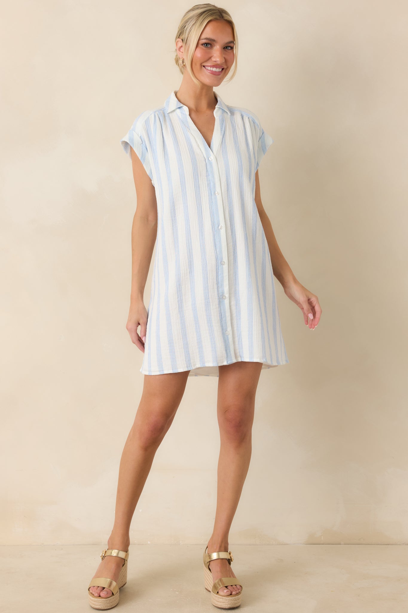 Z Supply Shellbound Ivory & Blue Stripe Cotton Mini Dress