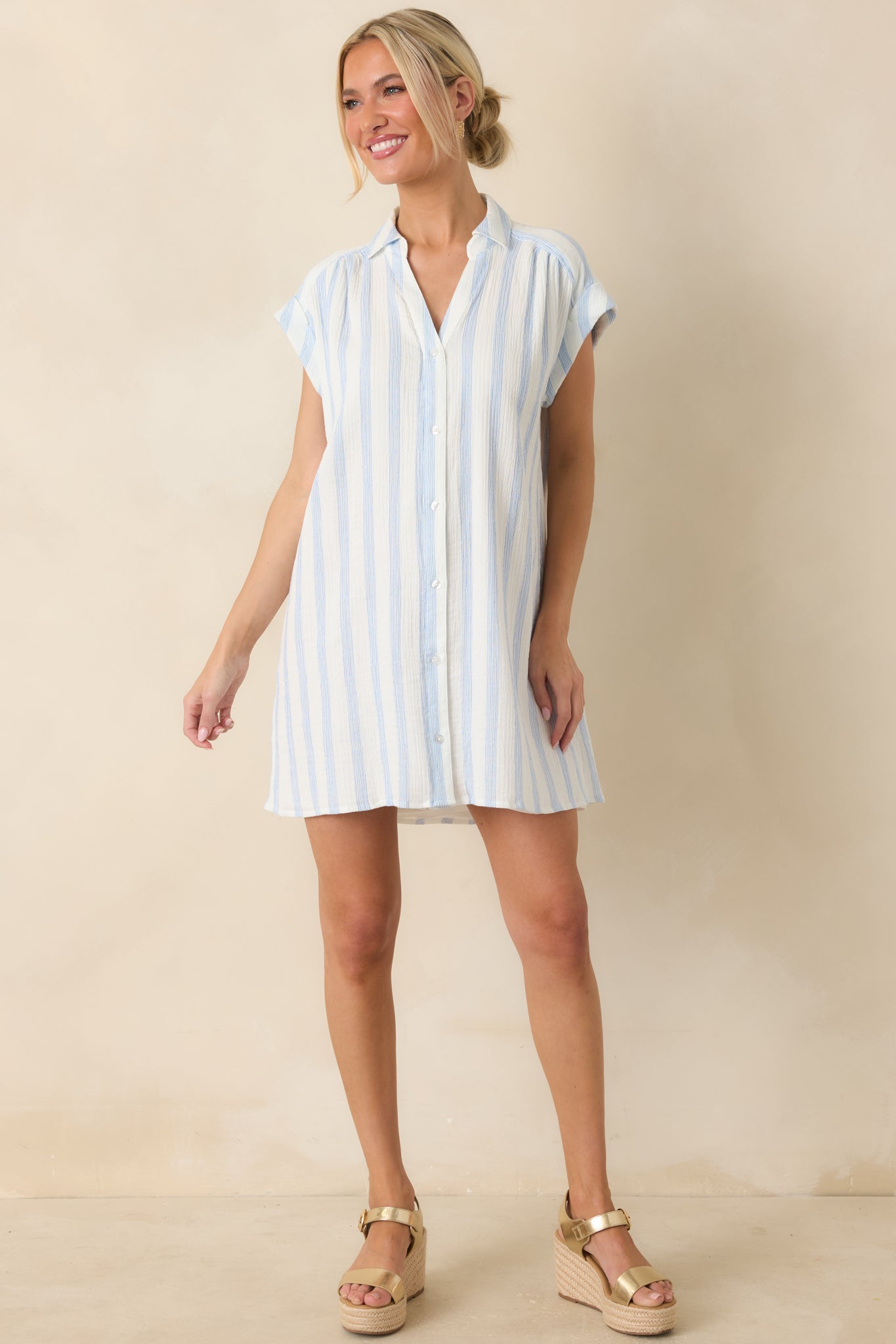 Z Supply Shellbound Ivory & Blue Stripe Cotton Mini Dress
