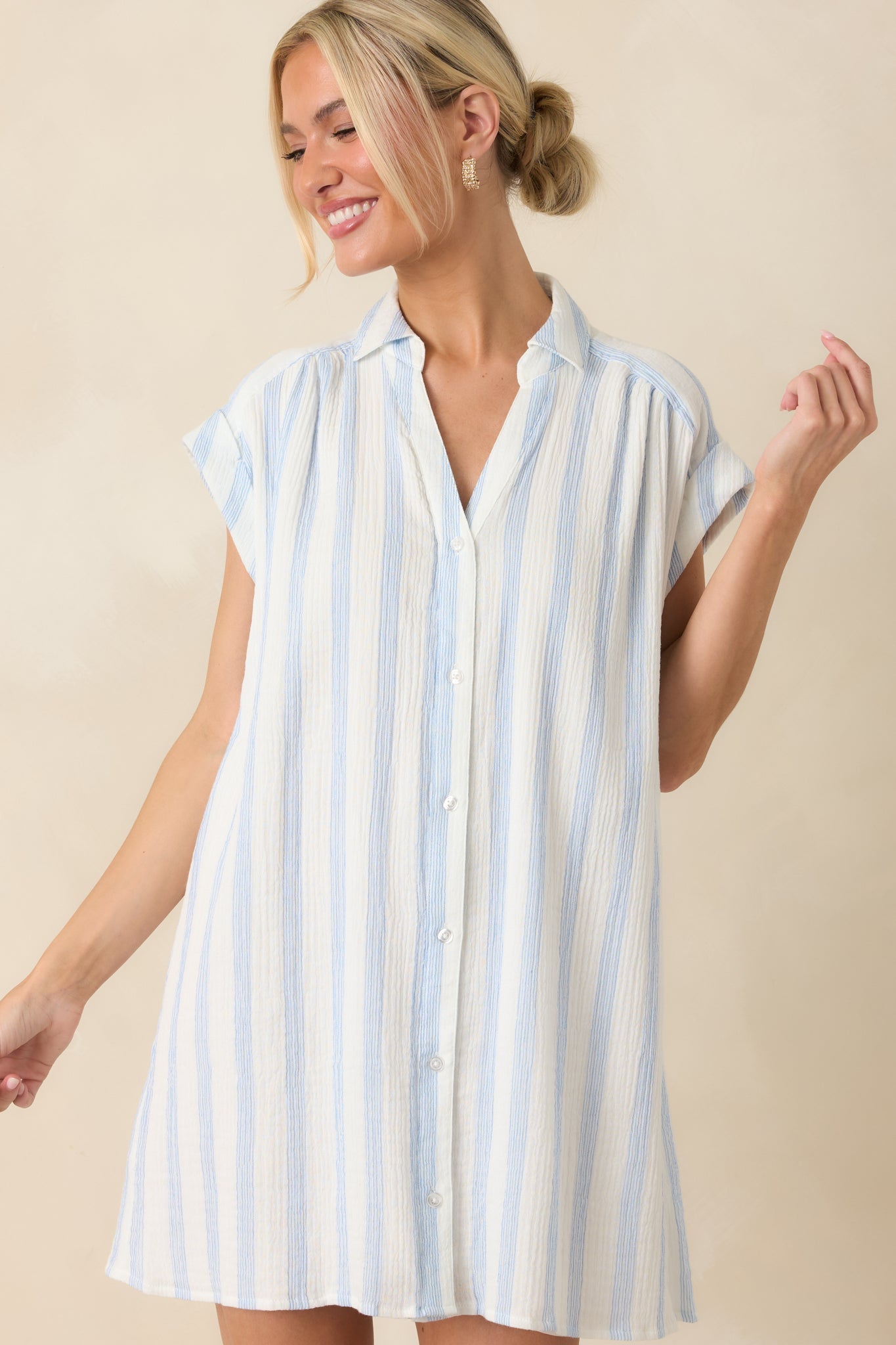 Z Supply Shellbound Ivory & Blue Stripe Cotton Mini Dress