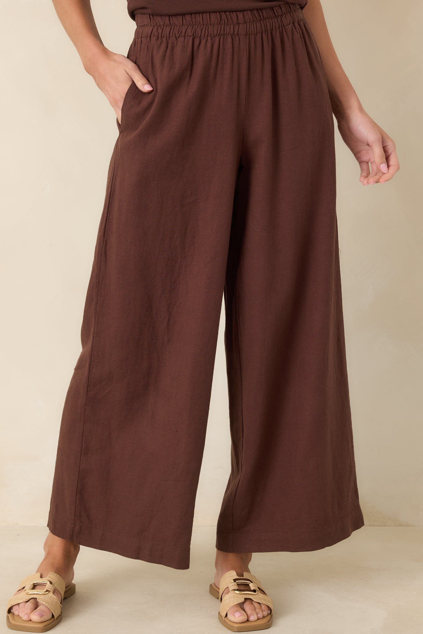 Z Supply Chocolate Brown Scout Linen Pants