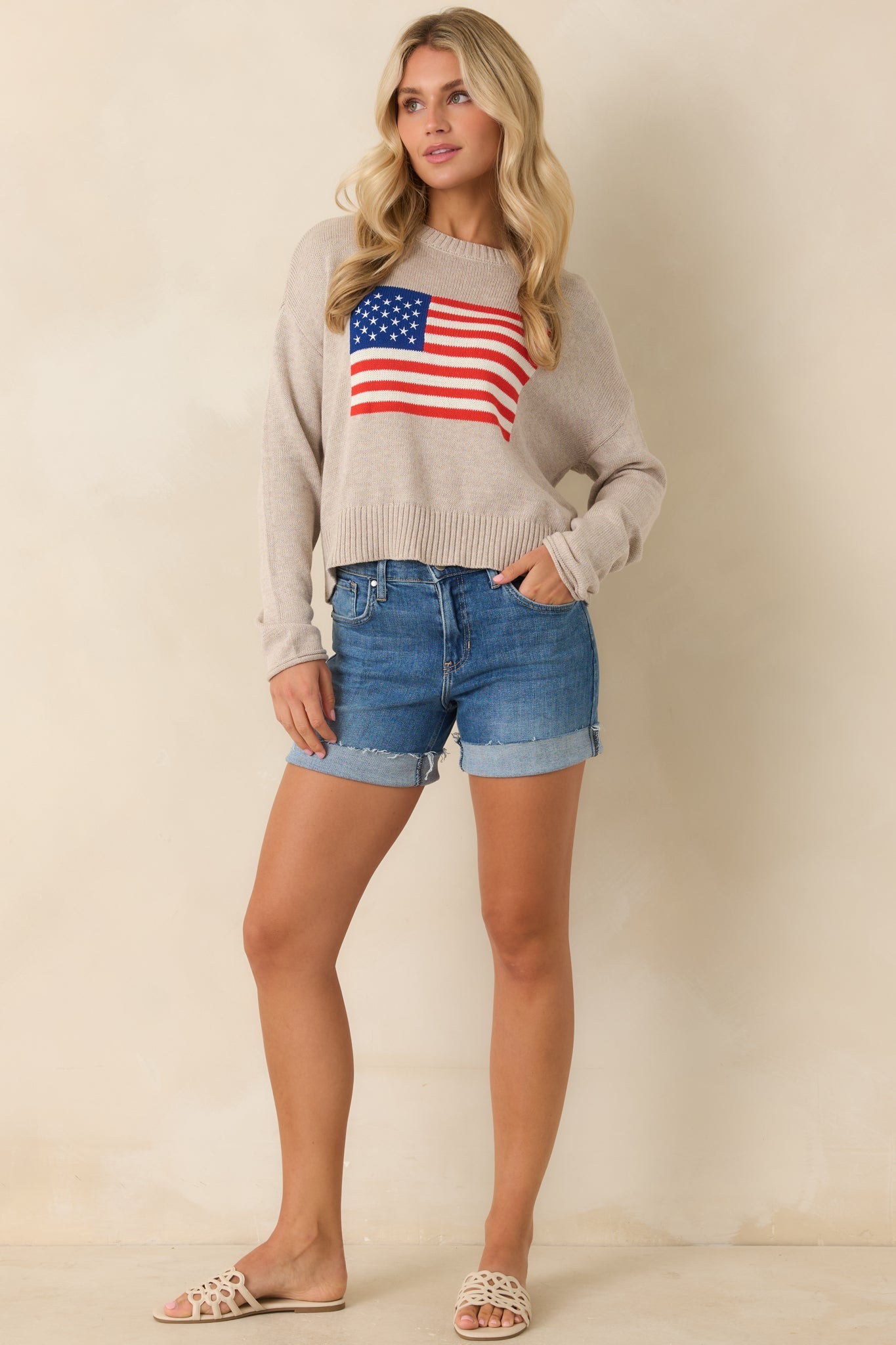 Z Supply Sienna Natural Heather Knit Cotton Patriot Sweater