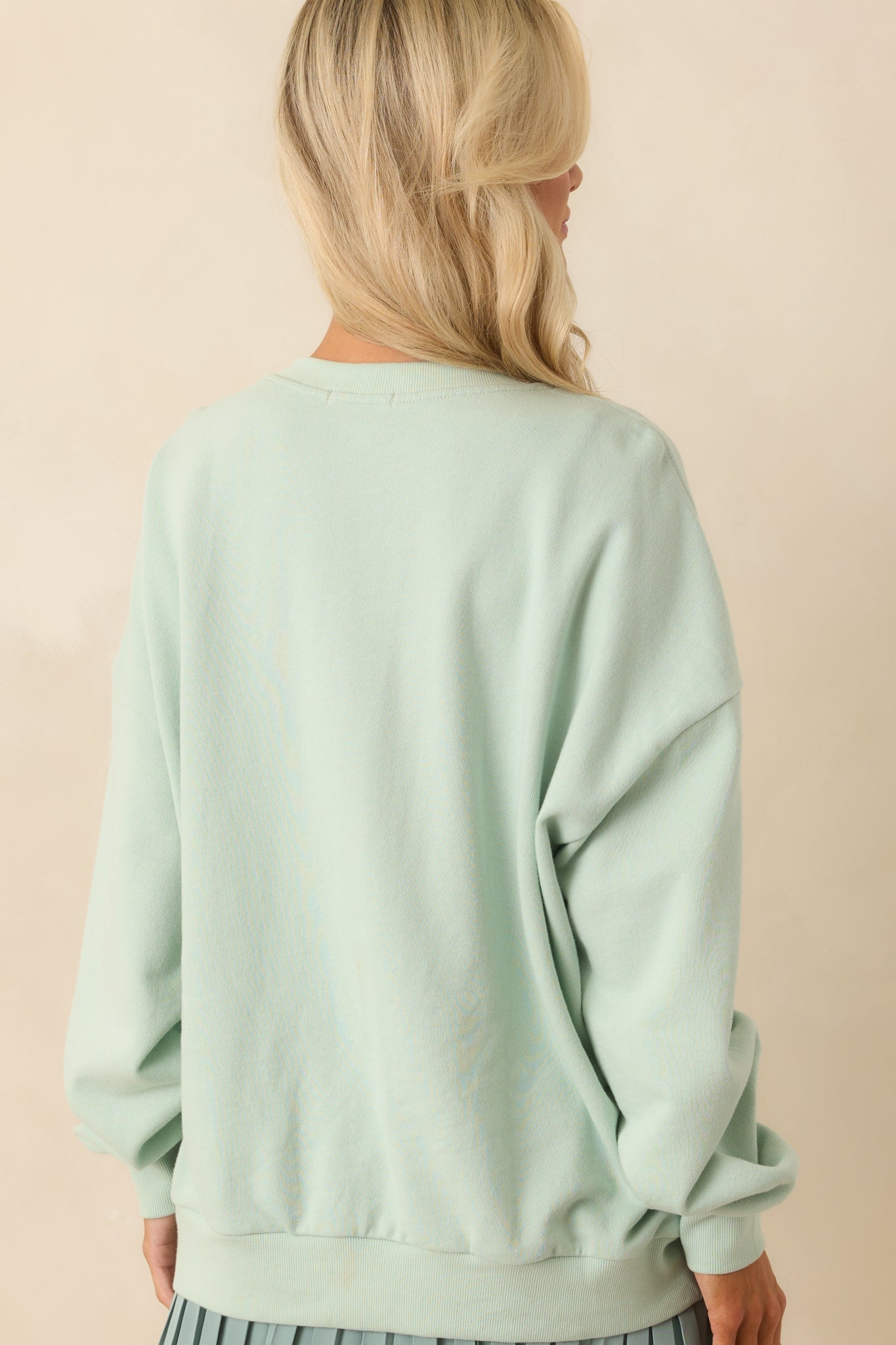 Z Supply Light Green Cotton Birdie Oversized Sweatshirt