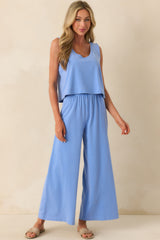 Z Supply Light Blue Cotton Scout Jersey Pants