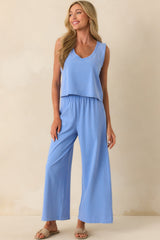 Z Supply Light Blue Cotton Scout Jersey Pants
