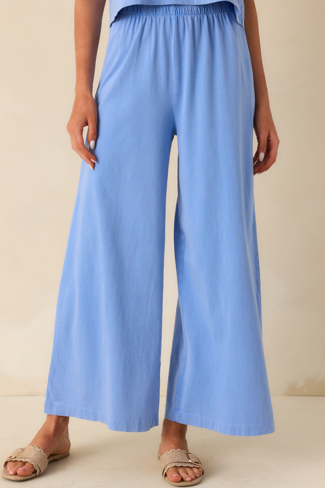 Z Supply Light Blue Cotton Scout Jersey Pants