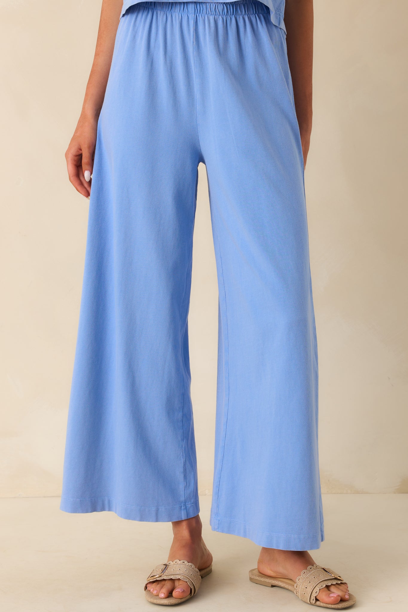 Z Supply Light Blue Cotton Scout Jersey Pants