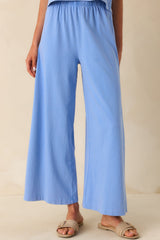Z Supply Light Blue Cotton Scout Jersey Pants