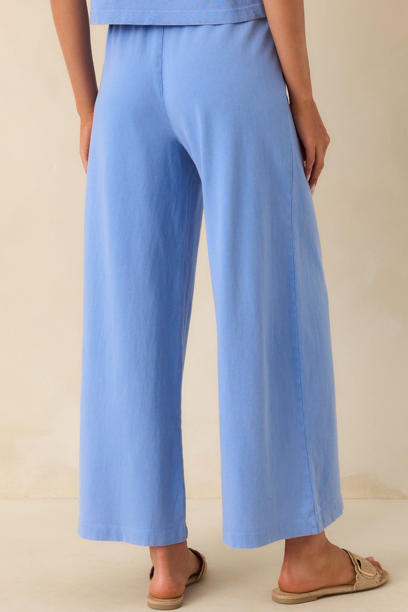 Z Supply Light Blue Cotton Scout Jersey Pants