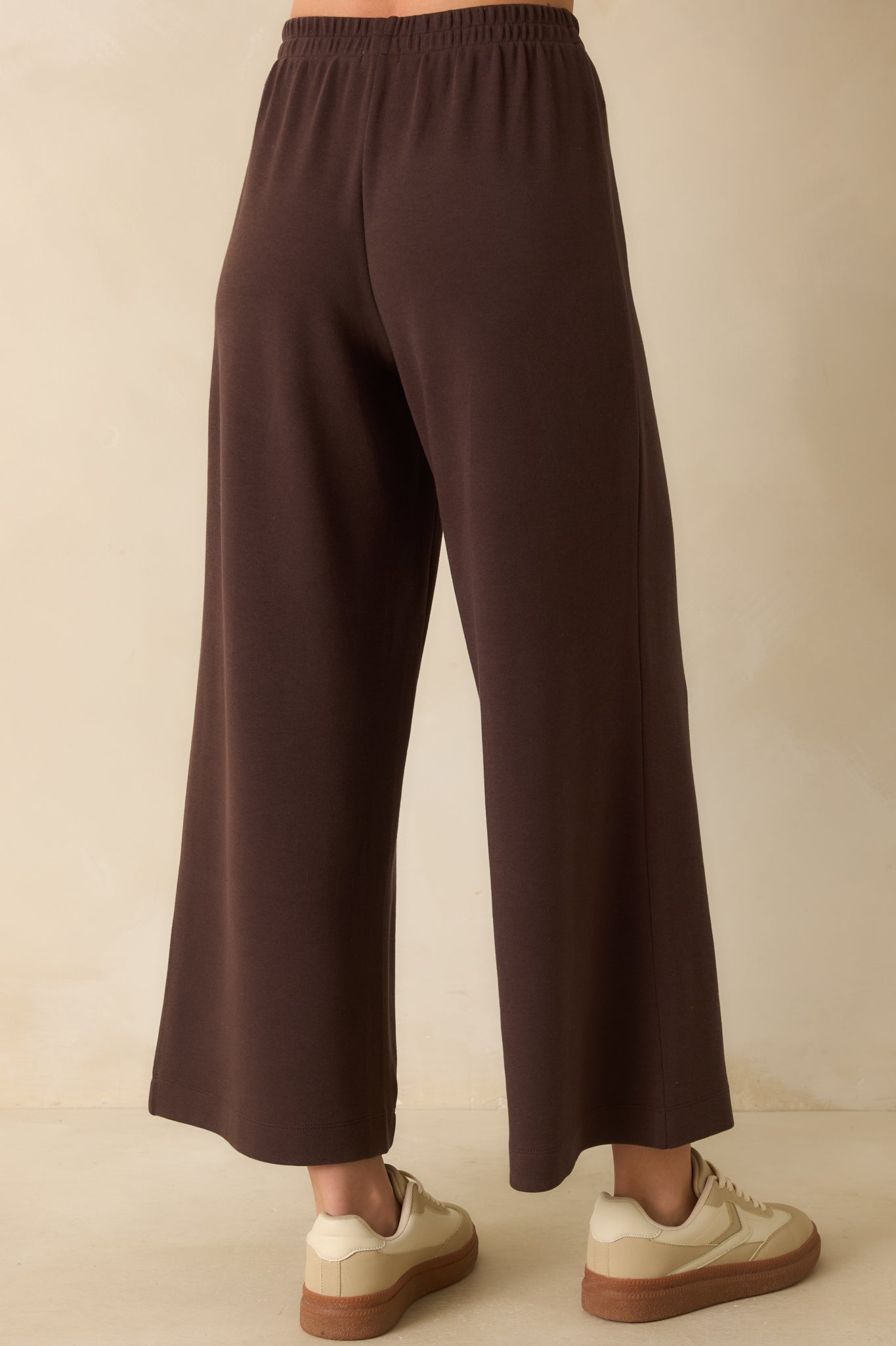 Z Supply Dark Brown Scout Luxe Pants