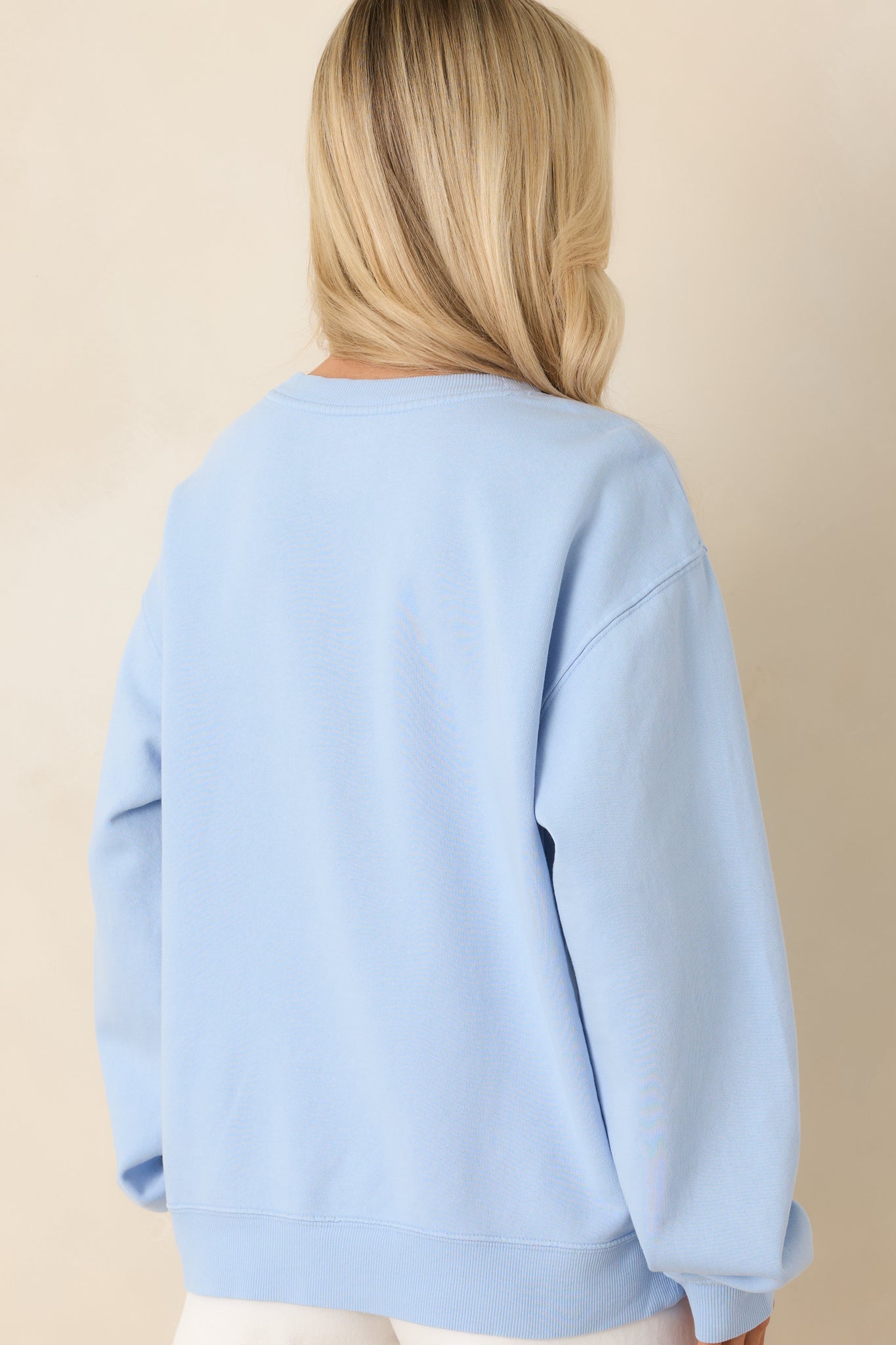 Z Supply Light Blue Coast Cotton Boyfriend Sweatshirt