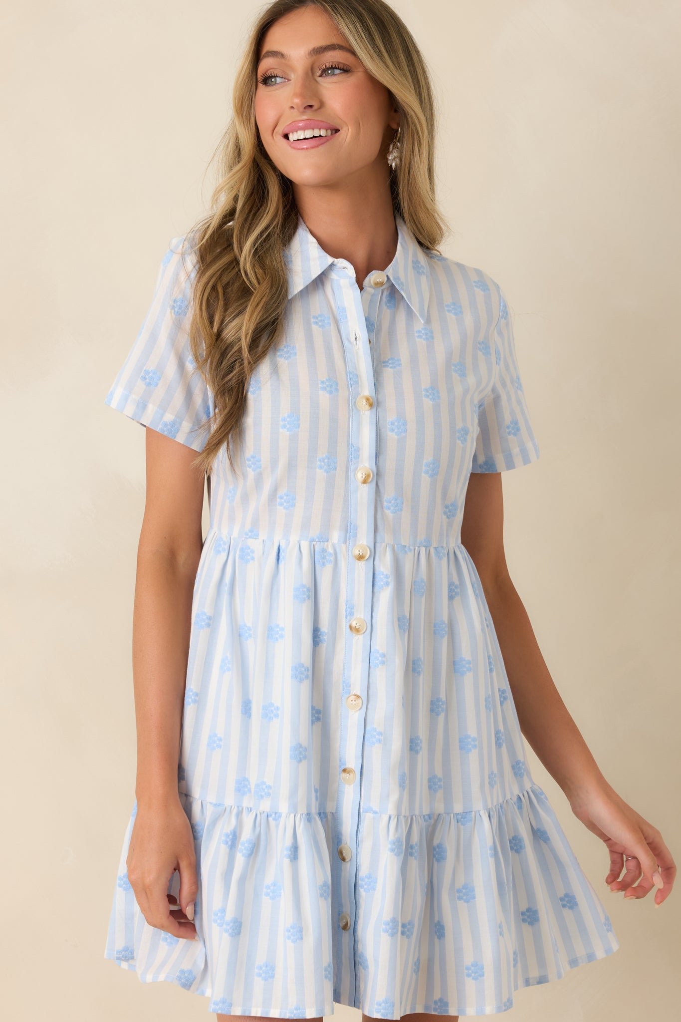 Market Days Blue Stripe Floral Embroidered Cotton Mini Dress
