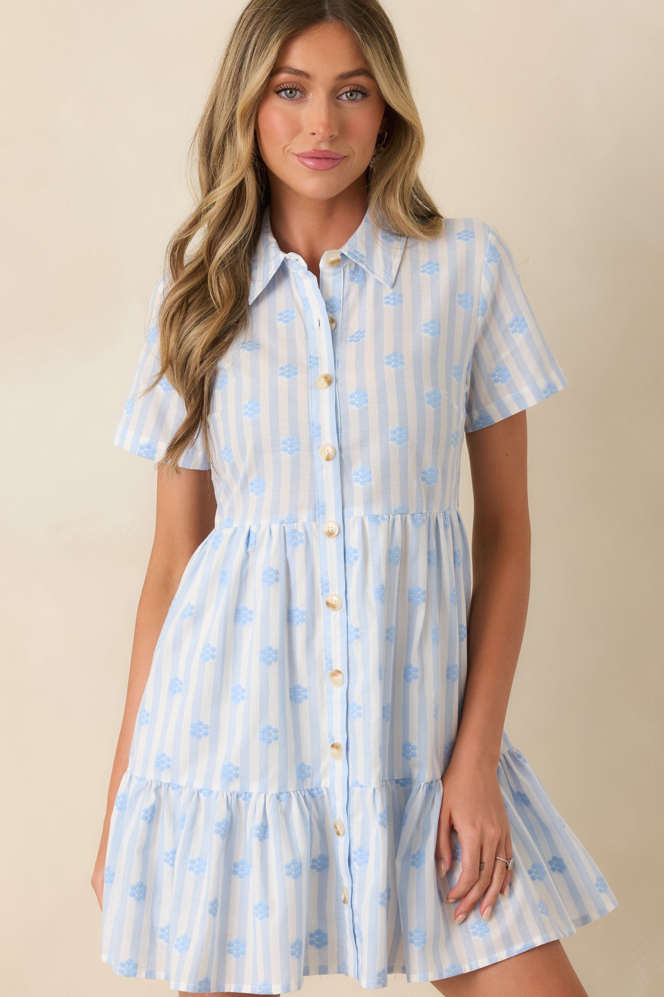 Market Days Blue Stripe Floral Embroidered Cotton Mini Dress
