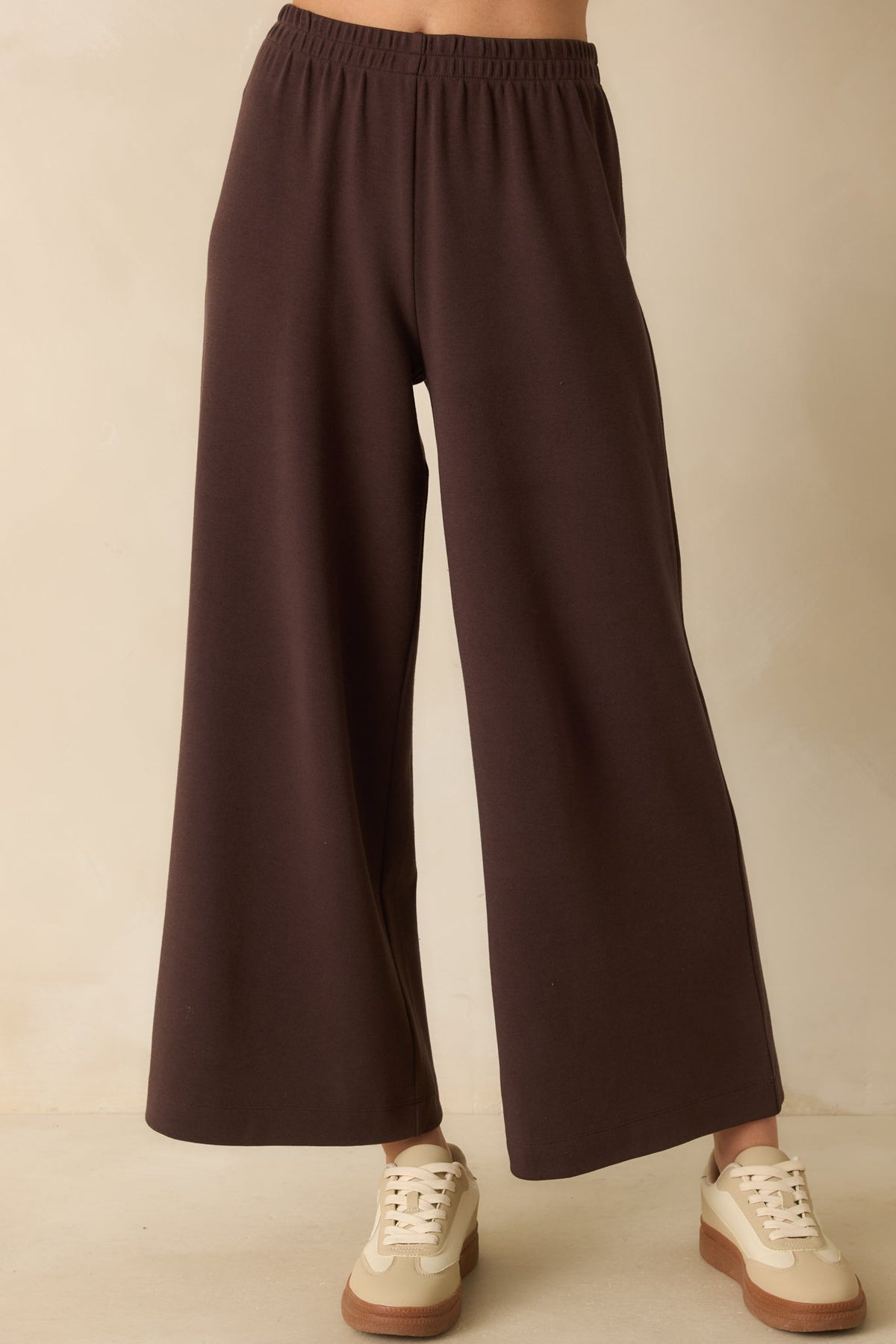 Z Supply Dark Brown Scout Luxe Pants