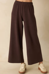 Z Supply Dark Brown Scout Luxe Pants