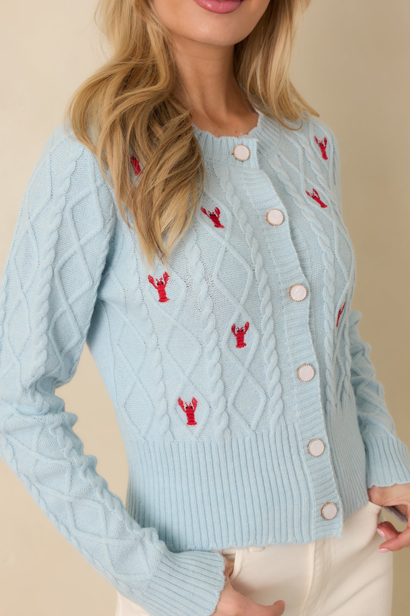 Main Lobster Energy Light Blue Embroidered Cardigan Sweater