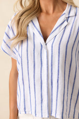 Z Supply Palace Blue Parallel Striped Linen Top
