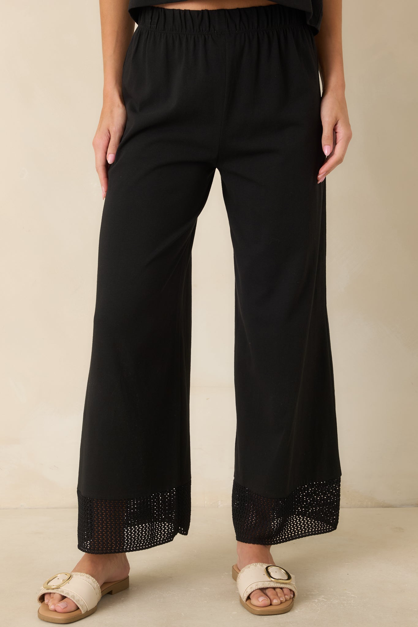 Z Supply Banyan Black Crochet Pants
