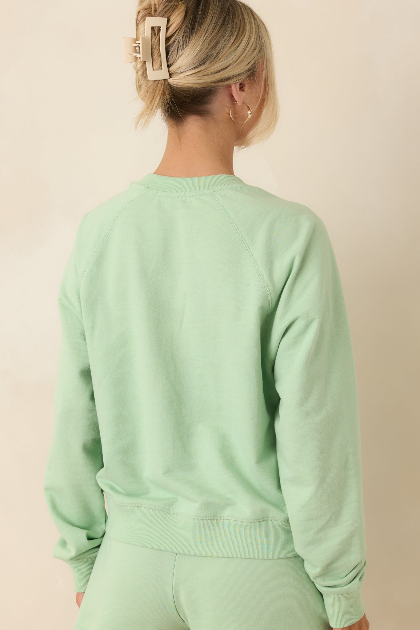 Z Supply Saldana Light Green Crewneck Sweatshirt