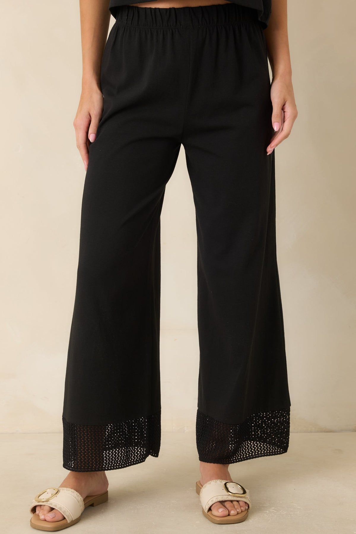 Z Supply Banyan Black Crochet Pants