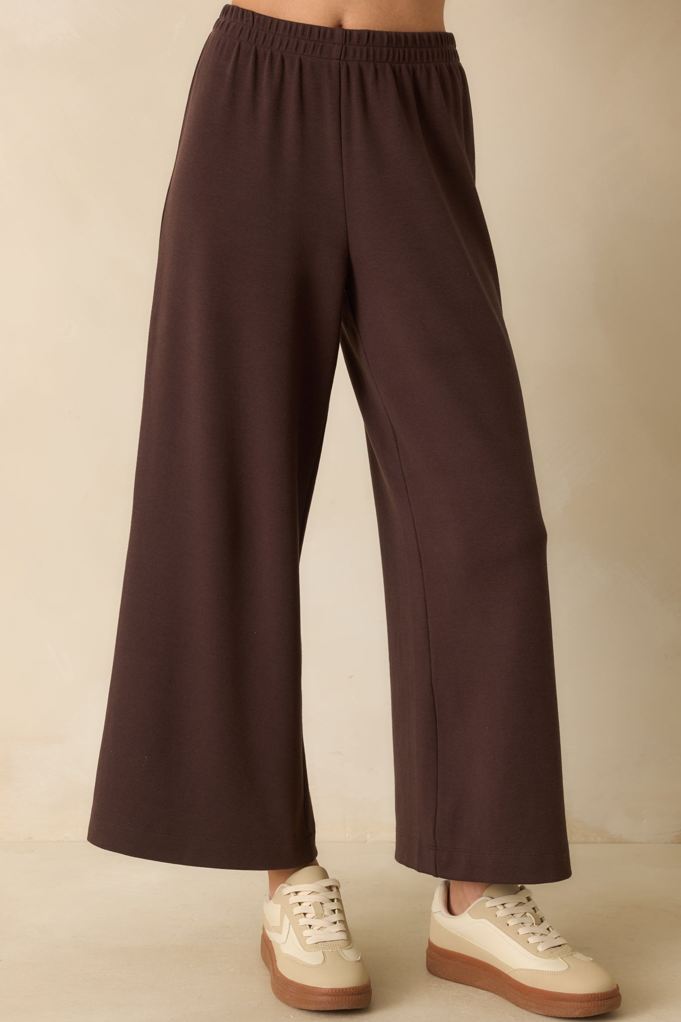 Z Supply Dark Brown Scout Luxe Pants