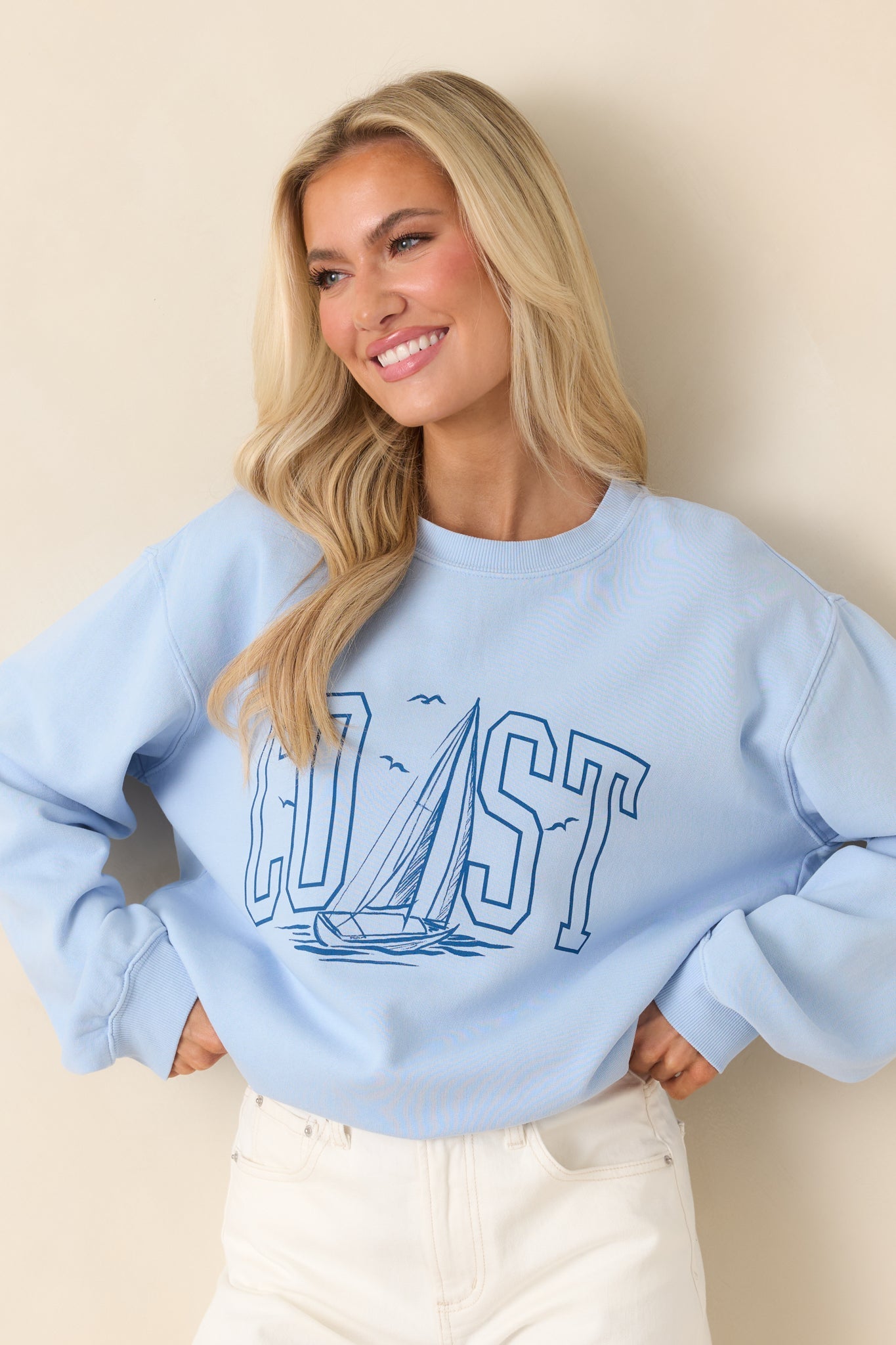 Z Supply Light Blue Coast Cotton Boyfriend Sweatshirt