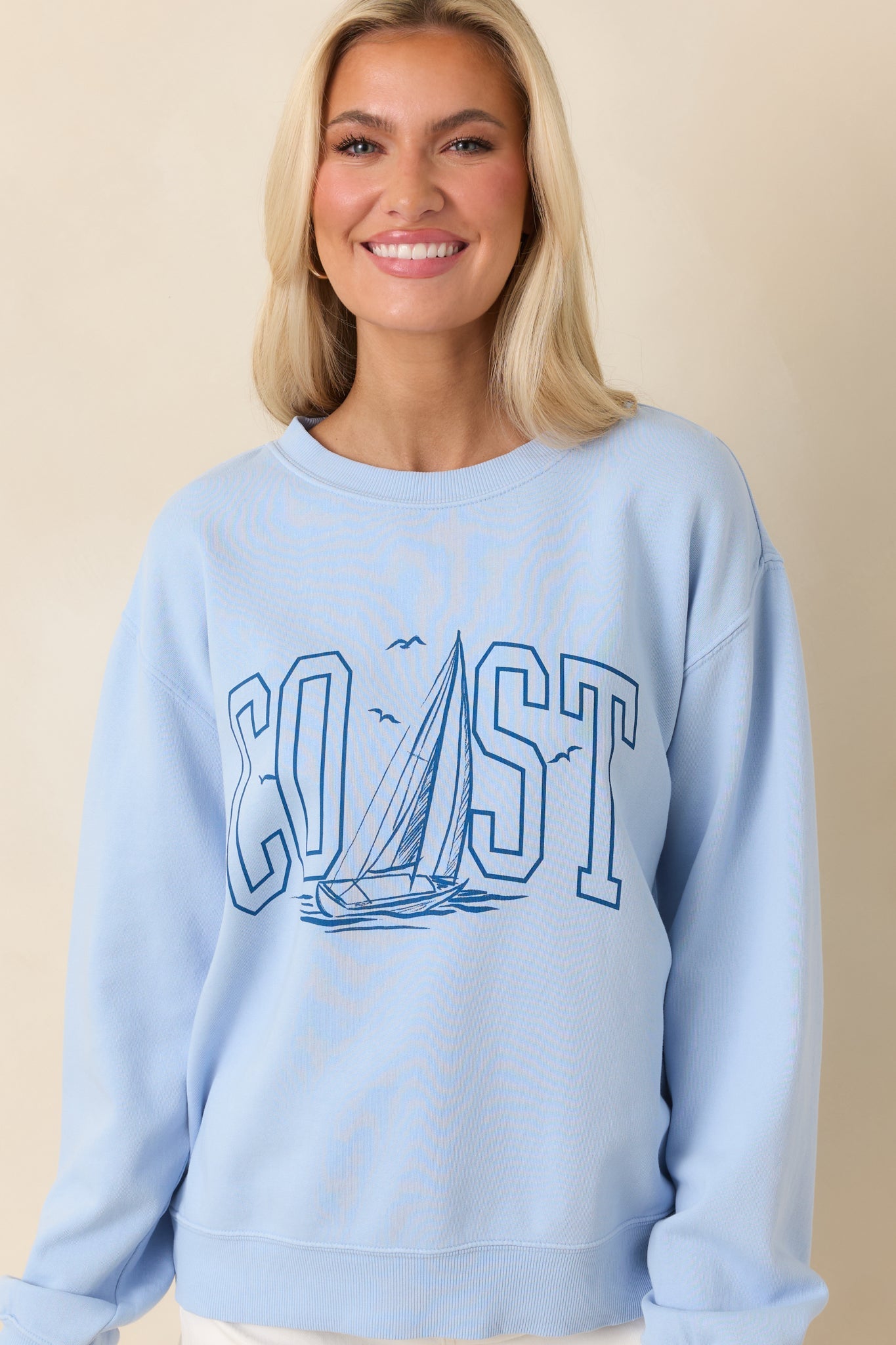 Z Supply Light Blue Coast Cotton Boyfriend Sweatshirt