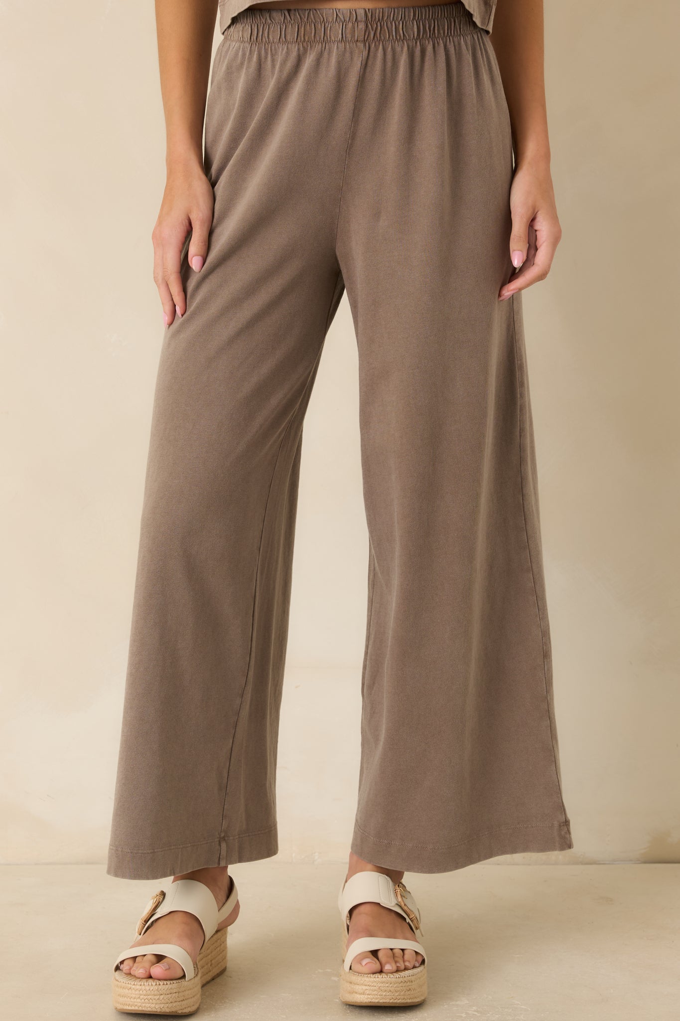 Z Supply Scout Perfectly Taupe Cotton Jersey Pants