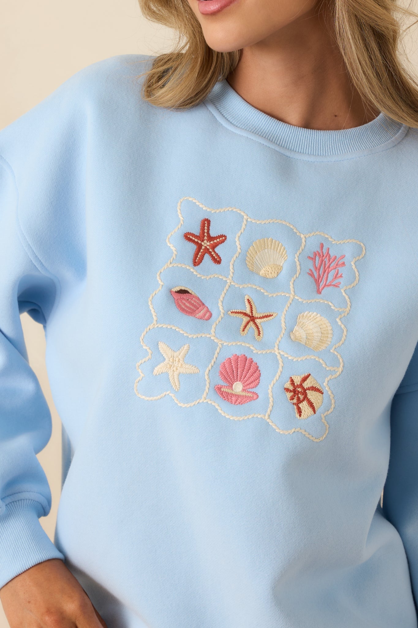 Collected Moments Light Blue Embroidered Crewneck Sweatshirt