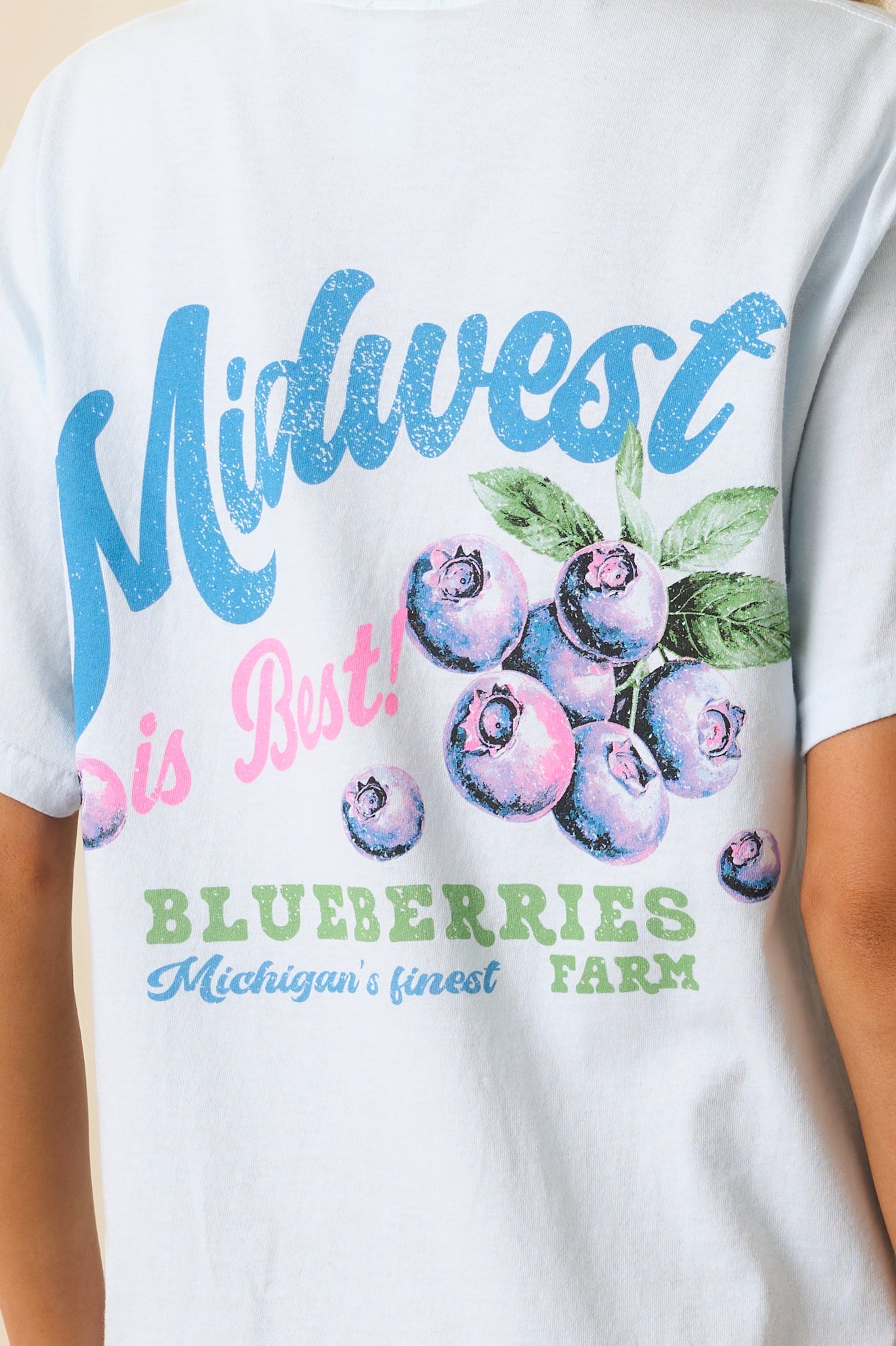 Midwest Is Best Sky Blue Cotton Blueberry Graphic Tee