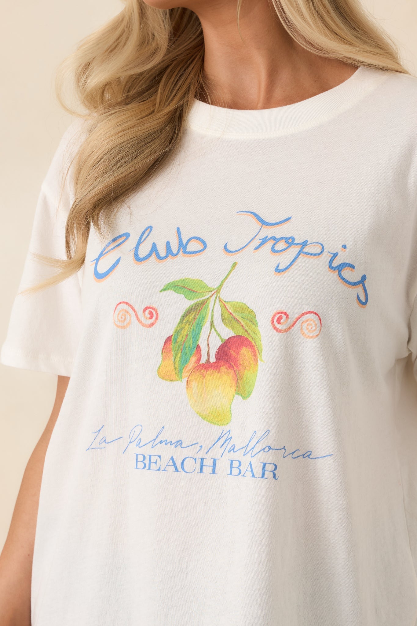 Z Supply Vanilla Ice Club Tropics Cotton Boyfriend Tee