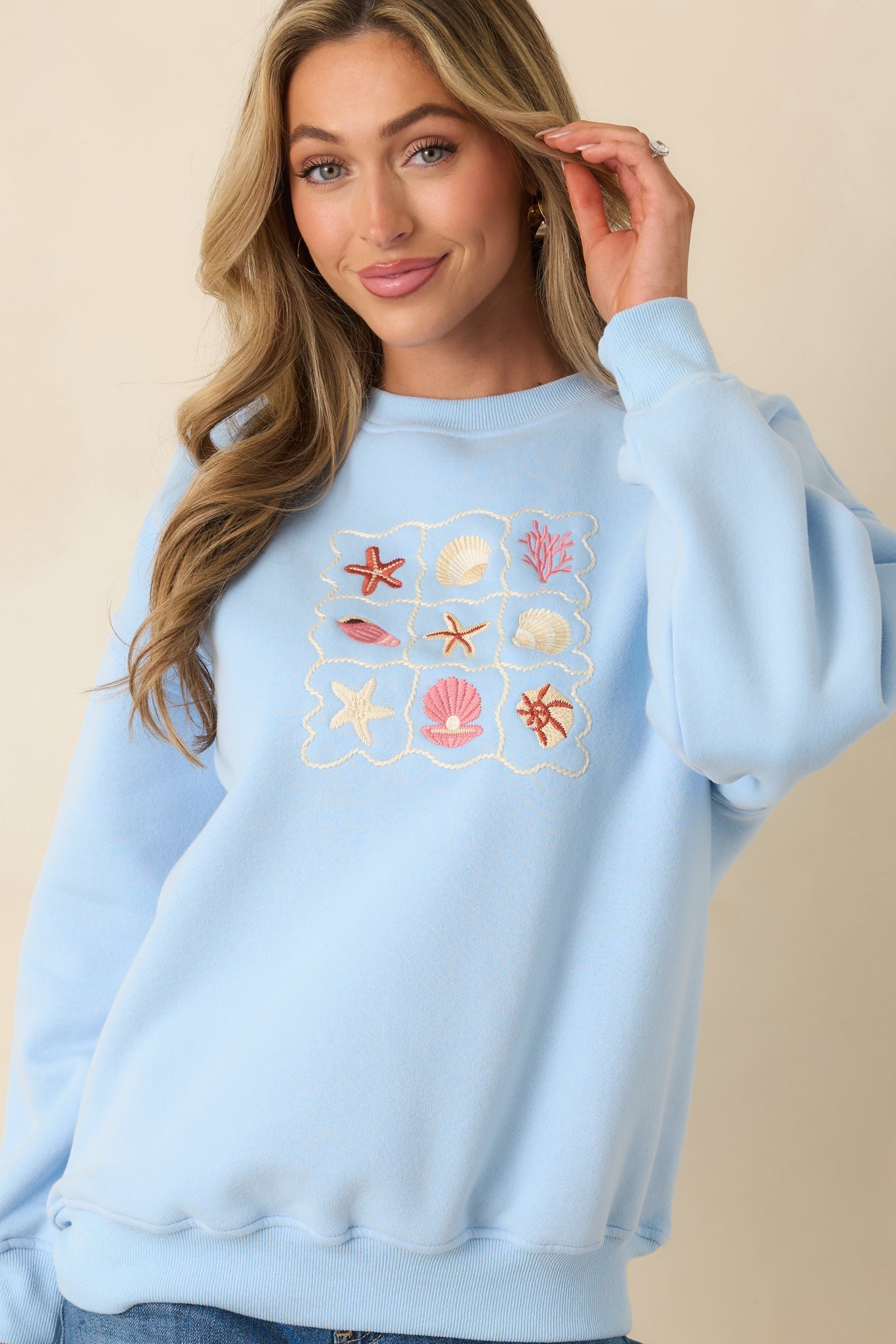 Collected Moments Light Blue Embroidered Crewneck Sweatshirt