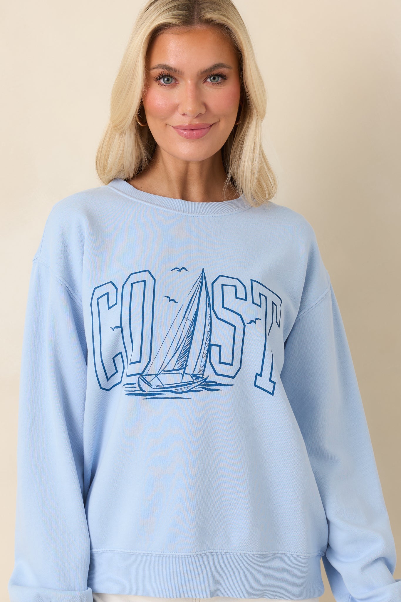 Z Supply Light Blue Coast Cotton Boyfriend Sweatshirt