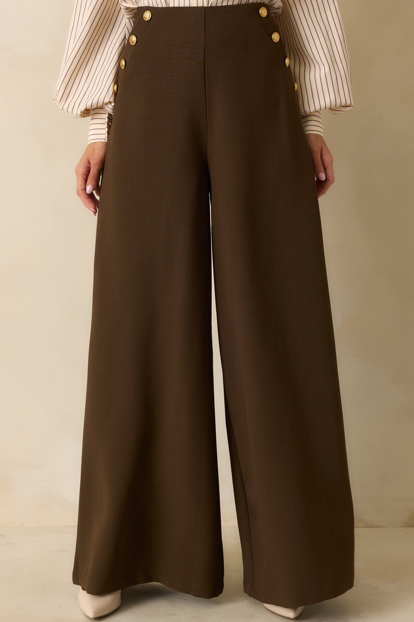 Chart the Course Dark Brown Wide Leg Button Pants